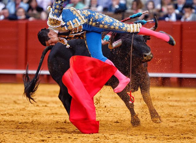 José María Manzanares en la tremenda voltereta que le propinó el segundo toro de la tarde José María Manzanares en la tremenda voltereta que le propinó el segundo toro de la tarde