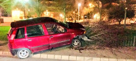 Así quedó el coche tras chocar con un árbol Así quedó el coche tras chocar con un árbol