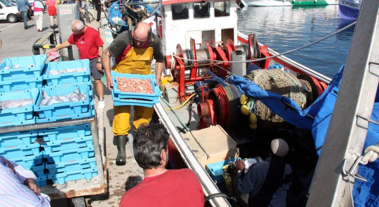 Una imatge d'arxiu del port de Palamós. Una imatge d'arxiu del port de Palamós.