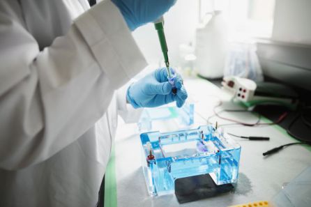La investigación ha logrado dar con técnicas punteras para el tratamiento de las patologías de próstata La investigación ha logrado dar con técnicas punteras para el tratamiento de las patologías de próstata