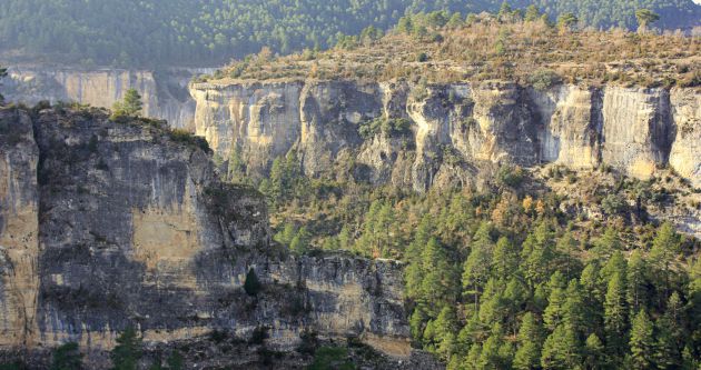 El sendero asciende entre bosques de pino negral. El sendero asciende entre bosques de pino negral.