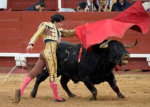 De Mora, Del Álamo y Román, a hombros en la corrida de "ASPAYM" en Toledo