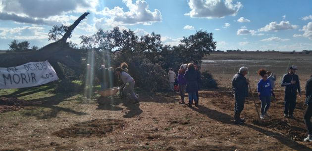 Los vecinos se movilizaron para salvar el árbol. Los vecinos se movilizaron para salvar el árbol.