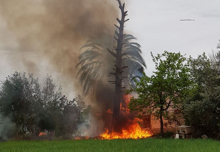 Dos incendios, en menos de quince días, junto al Palmeral de Santiago y Zaraíche Dos incendios, en menos de quince días, junto al Palmeral de Santiago y Zaraíche