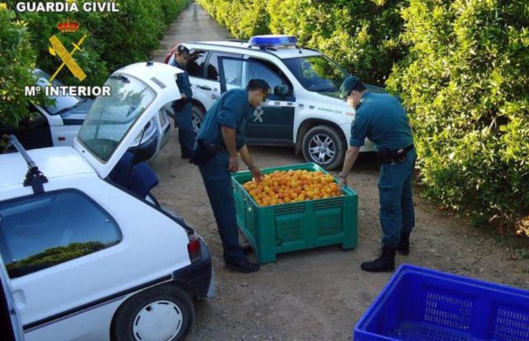 Organizaciones agrarias instan a mantener la guardia alta ante la proliferación de delitos. Organizaciones agrarias instan a mantener la guardia alta ante la proliferación de delitos.