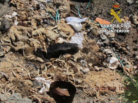 Abandonaba los cadáveres de sus animales en espacios públicos Abandonaba los cadáveres de sus animales en espacios públicos