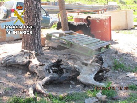 Abandonaba los cadáveres de sus animales en espacios públicos Abandonaba los cadáveres de sus animales en espacios públicos