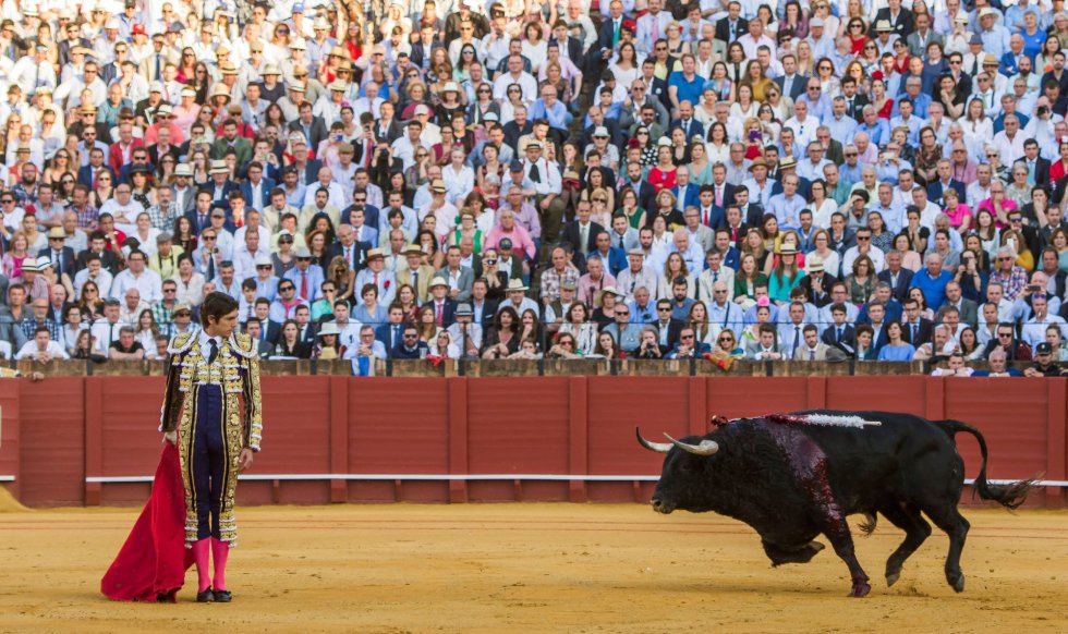 GRAF6216. SEVILLA, 17/04/2018.- El diestro Sebastian Castella frente a su segundo toro de la tarde de la novena corrida de abono de la Plaza de la Maestranza de Sevilla. EFE/Raúl Caro GRAF6216. SEVILLA, 17/04/2018.- El diestro Sebastian Castella frente a su segundo toro de la tarde de la novena corrida de abono de la Plaza de la Maestranza de Sevilla. EFE/Raúl Caro