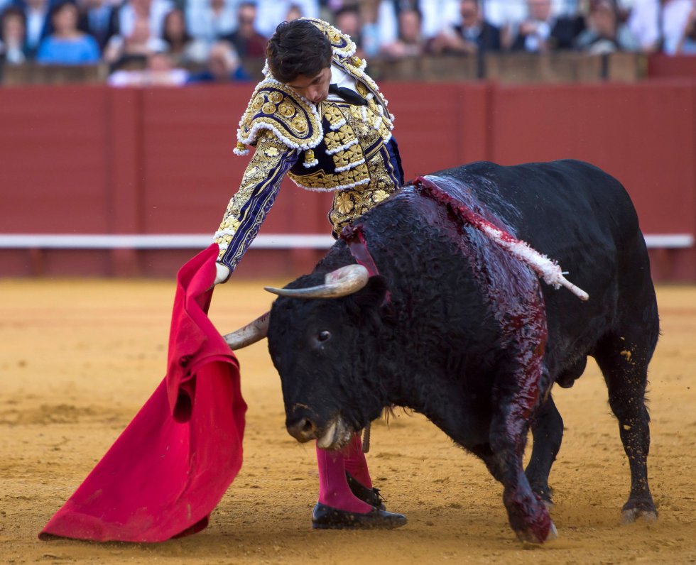 GRAF6220. SEVILLA, 17/04/2018.- El diestro Sebastian Castella frente a su segundo toro de la tarde de la novena corrida de abono de la Plaza de la Maestranza de Sevilla. EFE/Raúl Caro GRAF6220. SEVILLA, 17/04/2018.- El diestro Sebastian Castella frente a su segundo toro de la tarde de la novena corrida de abono de la Plaza de la Maestranza de Sevilla. EFE/Raúl Caro