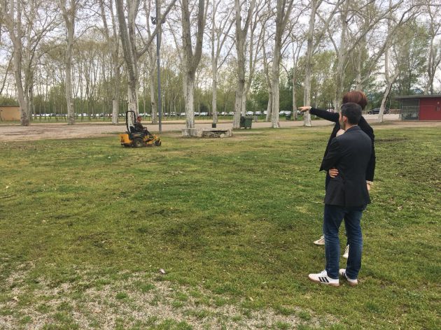 Comencen els primers canvis a la Devesa: Una Devesa més verda Comencen els primers canvis a la Devesa: Una Devesa més verda