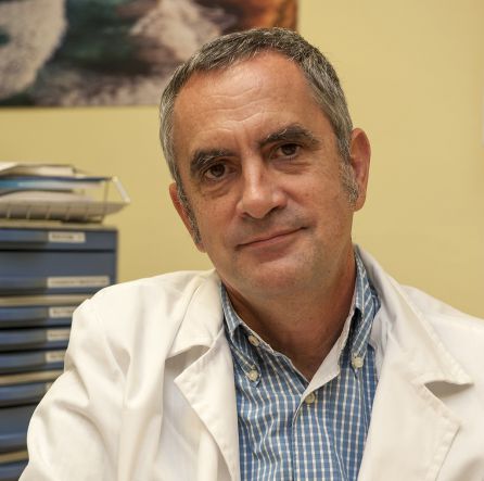 Dr. Alfredo Rodríguez-Antigüedad, neurólogo de IMQ Dr. Alfredo Rodríguez-Antigüedad, neurólogo de IMQ