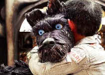La obra cumbre de Wes Anderson