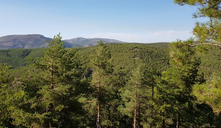 El espacio protegido de Sierra Nevada desde el acceso al Puerto de la Ragua, en El Marquesado, en la comarca de Guadix (Granada) El espacio protegido de Sierra Nevada desde el acceso al Puerto de la Ragua, en El Marquesado, en la comarca de Guadix (Granada)
