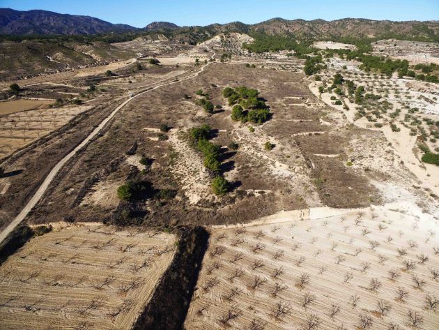 La agricultura y el medio rural ante el reto del cambio climático La agricultura y el medio rural ante el reto del cambio climático