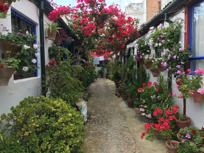 Uno de los patios de Córdoba. Uno de los patios de Córdoba.