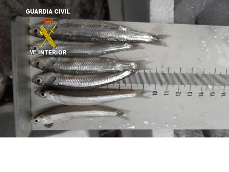 Intervenidos más de 100 kg de pescado inmaduro en Guarromán Intervenidos más de 100 kg de pescado inmaduro en Guarromán