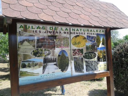 Aprender biología o literatura al aire libre Aprender biología o literatura al aire libre