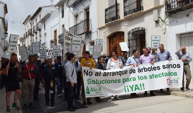Manifestación de los afectados por la Xylella. Benissa. Manifestación de los afectados por la Xylella. Benissa.