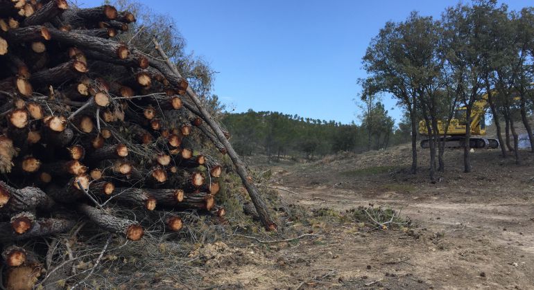 El aprovechamiento maderero de los montes está regulado en los planes de ordenación forestal de la Consejería de Agricultura, Medio Ambiente y Desarrollo Rural. El aprovechamiento maderero de los montes está regulado en los planes de ordenación forestal de la Consejería de Agricultura, Medio Ambiente y Desarrollo Rural.