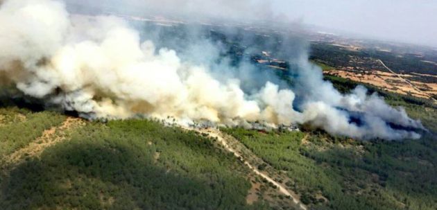 Incendio forestal en Campillo de Altobuey en agosto de 2017. Incendio forestal en Campillo de Altobuey en agosto de 2017.