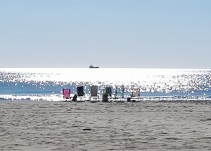 "Los perros no tienen que ir a las playas en verano"