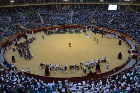 Bandas Juveniles participantes en el Guinness de la FSMCV. Bandas Juveniles participantes en el Guinness de la FSMCV.