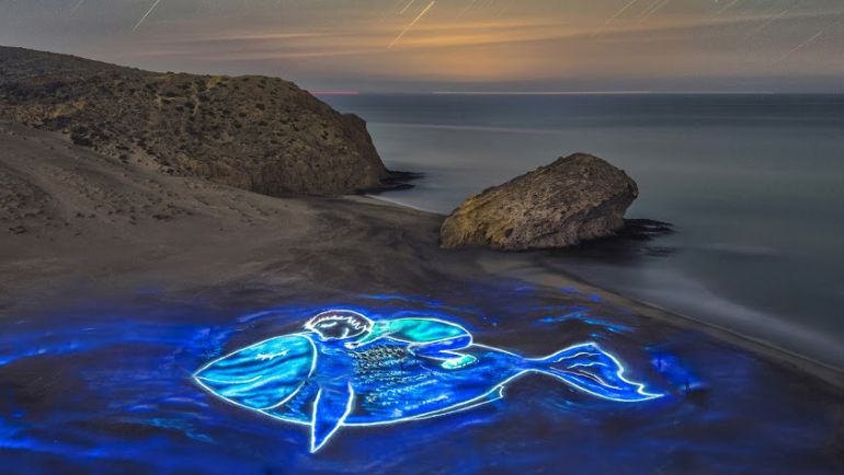 Un 'pescaito' de luz para recordar a Gabriel. Un 'pescaito' de luz para recordar a Gabriel.