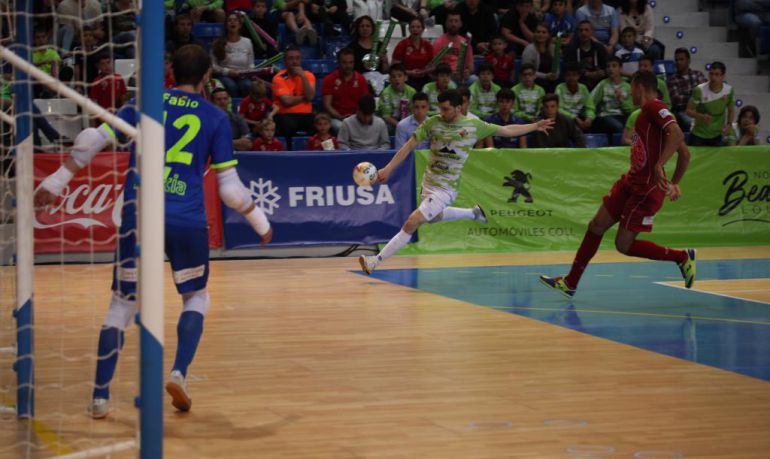 ElPozo no quiere sustos ante Palma ElPozo no quiere sustos ante Palma