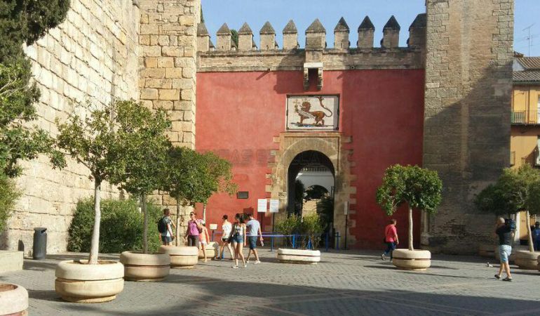 El Ayuntamiento asegura que la caída de la rama en el Alcázar ha sido fortuita El Ayuntamiento asegura que la caída de la rama en el Alcázar ha sido fortuita
