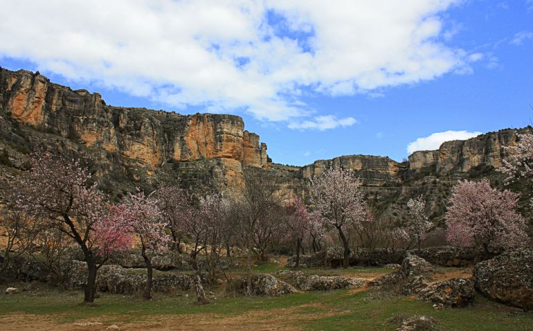 Hoz del río Trabaque en Albalate de las Nogueras (Cuenca). Hoz del río Trabaque en Albalate de las Nogueras (Cuenca).