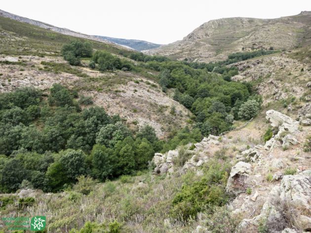 El río Pelagallinas y otras Reservas Naturales Fluviales de Guadalajara: El río Pelagallinas y las Reservas Naturales Fluviales El río Pelagallinas y otras Reservas Naturales Fluviales de Guadalajara: El río Pelagallinas y las Reservas Naturales Fluviales