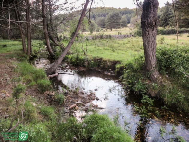 El río Pelagallinas y otras Reservas Naturales Fluviales de Guadalajara: El río Pelagallinas y las Reservas Naturales Fluviales El río Pelagallinas y otras Reservas Naturales Fluviales de Guadalajara: El río Pelagallinas y las Reservas Naturales Fluviales
