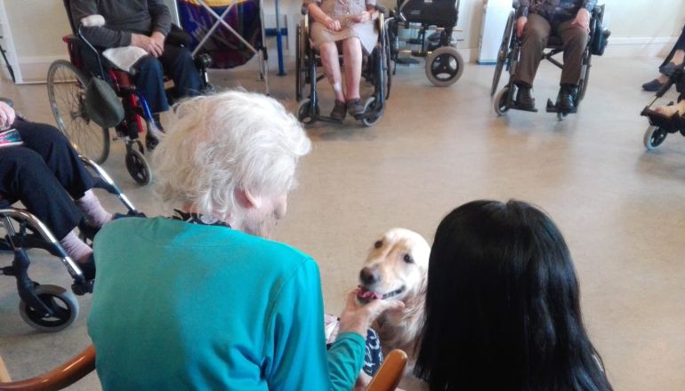 Imágen de la sesión de terapia asistida con perros Imágen de la sesión de terapia asistida con perros