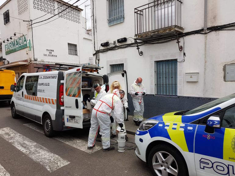 Sola y con los cadáveres de dos perros en la azotea Sola y con los cadáveres de dos perros en la azotea