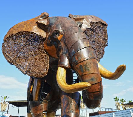Elefante Escipión - Plaza exterior BIOPARC Valencia Elefante Escipión - Plaza exterior BIOPARC Valencia
