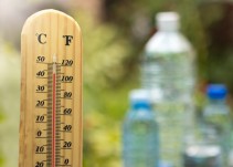 El cambio climático aumenta la mortalidad en Zaragoza