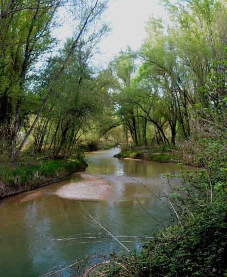 "El Guadalquivir", de Antonio Fernández Ortega "El Guadalquivir", de Antonio Fernández Ortega