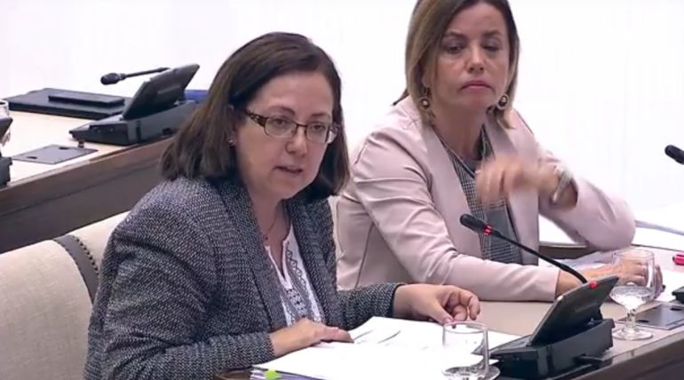 La diputada del PP, en una comisión en el Congreso. La diputada del PP, en una comisión en el Congreso.