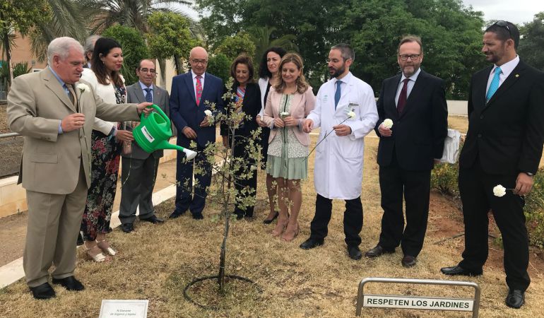 Momento de la plantación del Árbol de la Vida Momento de la plantación del Árbol de la Vida
