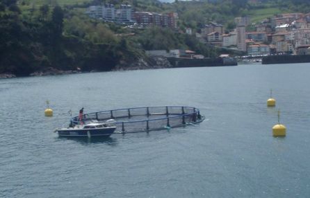 Azti estudia cómo convertir el excedente de la cerveza en pienso para pescado Azti estudia cómo convertir el excedente de la cerveza en pienso para pescado
