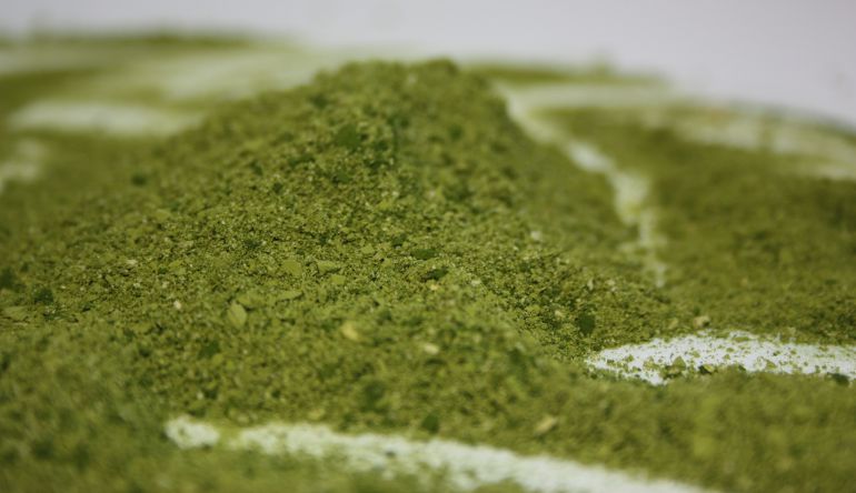 Microalgas, la alimentación del futuro Microalgas, la alimentación del futuro