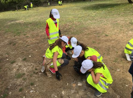 La limpieza del monte una árdua tarea La limpieza del monte una árdua tarea