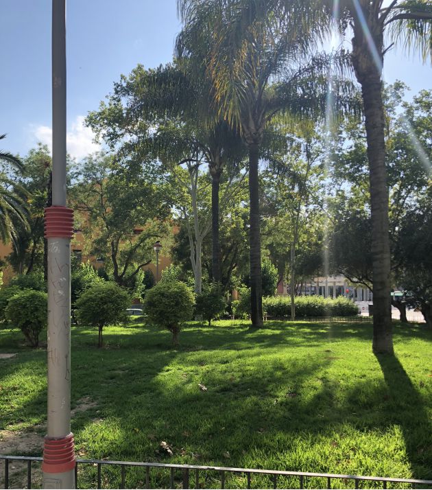 Esta estatua "dedicada a los políticos" ya no está en el jardín de La Fama de Murcia Esta estatua "dedicada a los políticos" ya no está en el jardín de La Fama de Murcia