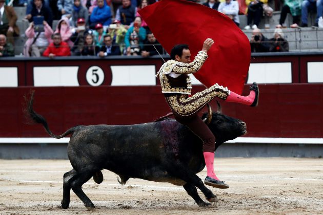 El diestro Manuel Jesús "El Cid" volteado durante el trigésimo primer festejo de la Feria de San Isidro celebrado en la plaza de toros de Las Ventas, compartiendo cartel con Pepe Moral y Ángel Sánchez, lidiando reses de Adolfo Martín El diestro Manuel Jesús "El Cid" volteado durante el trigésimo primer festejo de la Feria de San Isidro celebrado en la plaza de toros de Las Ventas, compartiendo cartel con Pepe Moral y Ángel Sánchez, lidiando reses de Adolfo Martín