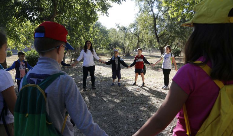 El nuevo Parque Central sería una auténtico pulmón verde para Mairena del Aljarafe El nuevo Parque Central sería una auténtico pulmón verde para Mairena del Aljarafe