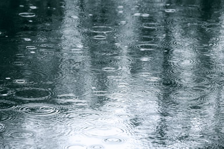 La lluvia y el frío de la primavera causan estragos en varios sectores económicos: La lluvia y el frío de la primavera causan estragos en varios sectores económicos La lluvia y el frío de la primavera causan estragos en varios sectores económicos: La lluvia y el frío de la primavera causan estragos en varios sectores económicos