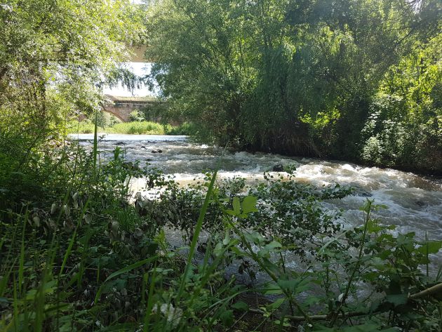 El Ayuntamiento de Guadalajara invierte 1,5 millones de euros en la ribera del río Henares.: Merenderos, zonas de pesca, toboganes para la ribera del río Henares en Guadalajara El Ayuntamiento de Guadalajara invierte 1,5 millones de euros en la ribera del río Henares.: Merenderos, zonas de pesca, toboganes para la ribera del río Henares en Guadalajara