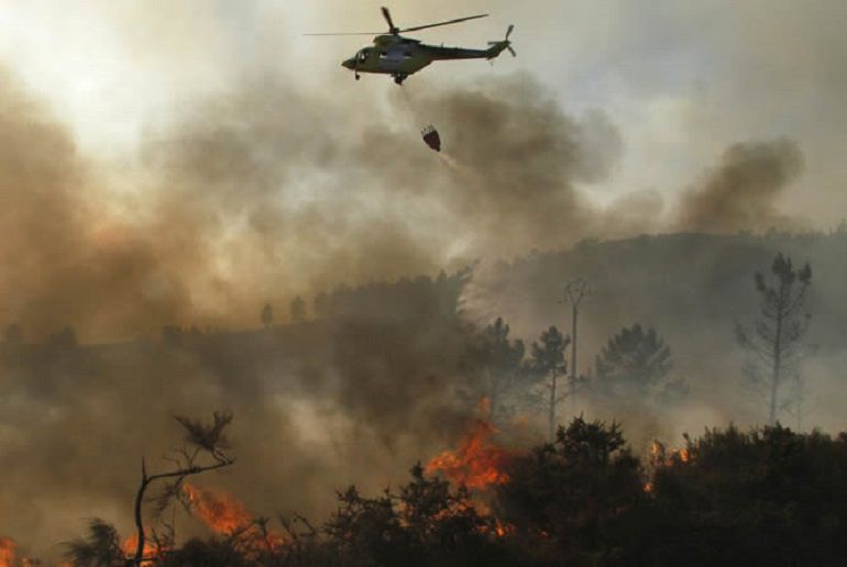 La Fegamp reconoce que el tiempo será determinante para que este verano no arda el monte La Fegamp reconoce que el tiempo será determinante para que este verano no arda el monte