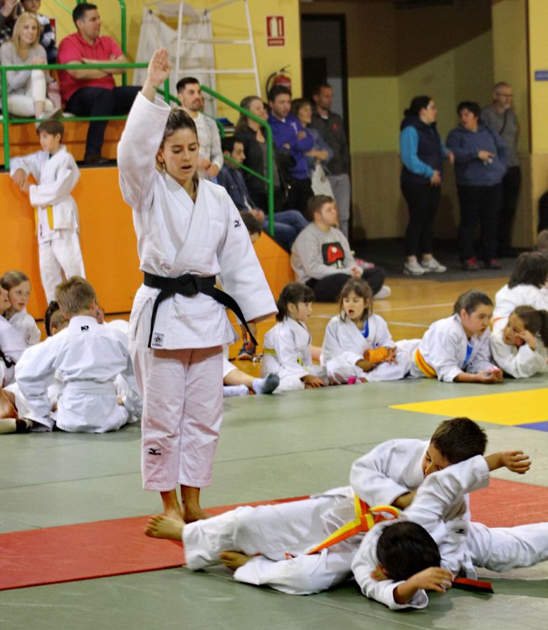 10O prticipantes, estarán en la cuarta y última jornada de la copa Diputació de Ourense de Judo. 10O prticipantes, estarán en la cuarta y última jornada de la copa Diputació de Ourense de Judo.