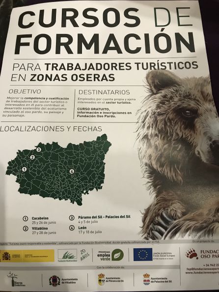 Cursos Osos Cursos Osos
